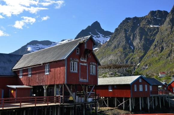Как винничане по земле троллей гуляли на сайті 20minut.ua Как винничане по земле троллей гуляли, фото №6 на сайті 20minut.ua