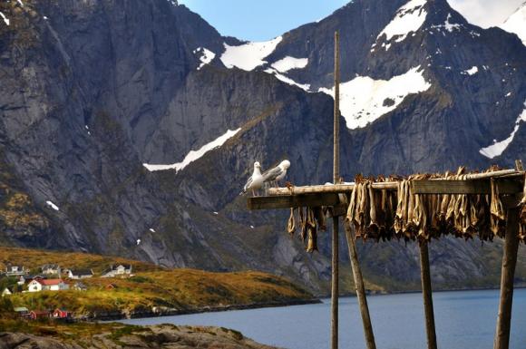 Как винничане по земле троллей гуляли на сайті 20minut.ua Как винничане по земле троллей гуляли, фото №8 на сайті 20minut.ua