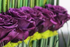 С Днем Медика!