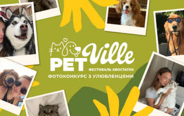 Фотоконкурс «Дивись, яка милота!»