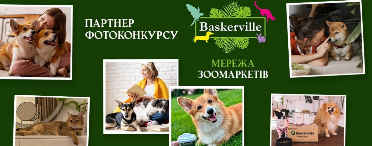 Фотоконкурс «Диви, яка милота!». Завершено.
