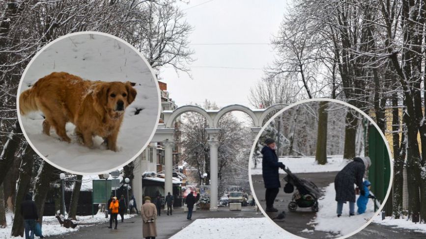 Зима у Вінниці: дивіться фоторепортаж із засніженого Центрального парку