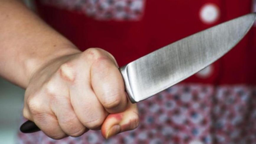 Під час застілля жінка штрикнула ножем в живіт співмешканку сина
