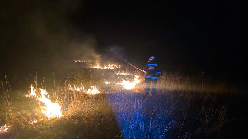 Пожежі в екосистемі: вчора вогонь охопив площу у понад шість гектарів