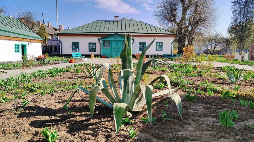 В садибі Михайла Коцюбинського у Вінниці висадили агави