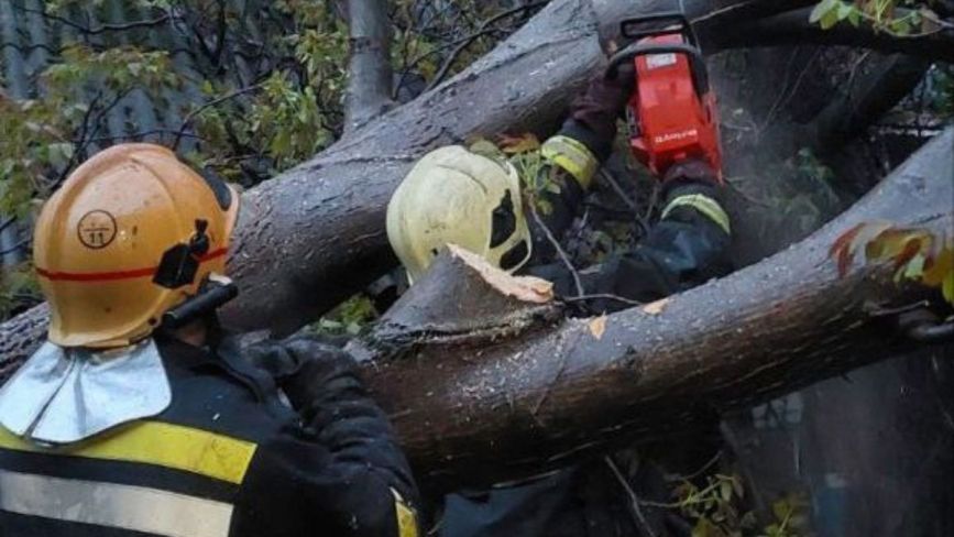 На Вінниччині вирує негода: рятувальники прибирають повалені вітром дерева