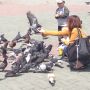 ФОТО ДНЯ. Дружелюбні голуби граються з дітками