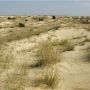 Вінницька пустеля – реальність?