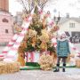 «Зимова феєрія»: у Вінниці на Європейській площі встановили дідух