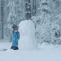 Сильні снігопади та мороз: синоптики розповіли про погоду до кінця січня
