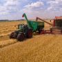 На Вінниччині прогнозують зменшення урожаю зернових на 20%. Якою буде ціна на хліб?