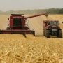 Урожай зернових зменшився, а експорт зріс на 41,4%. Як коментують ситуацію аграрії Вінниччини?