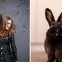 У чому зустріти рік Чорного кролика? Запитали поради у вінницької дизайнерки