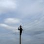 «Вінницяобленерго» оштрафували: відповідь енергетиків про несправедливі графіки відключень