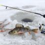 Головні особливості риболовлі в лютому та календар кльову
