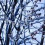 Погода 15 березня в Україні – синоптикиня попередила про похолодання