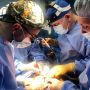 «Посмертне донорство — це шляхетно»: як у Вінниці розвивають напрямок трансплантології
