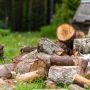 Зріс попит на дрова. Мешканці Вінниччини придбали майже 105 тисяч кубометрів паливної деревини