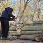 Скільки коштують паливні дрова у різних лісництвах Вінницької області