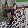 Допомогти армії: де плетуть сітки у Вінниці?