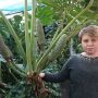 У теплиці вінницьких юннатів вирощують плоди для захисників України