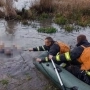 З водойми на Вінниччині дістали тіло 46-річної жінки