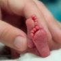 На Вінниччині три медзаклади надають безкоштовну допомогу передчасно народженим немовлятам