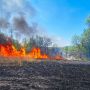 На Вінниччині за добу рятувальники ліквідували сім пожеж в екосистемах
