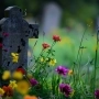 Провідна неділя 2024 року: традиції, що нести на кладовище і як правильно вітатися