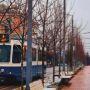 Вінниця в Instagram. Кращі фото за тиждень, що минає