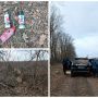 Зрубали дерева — пофарбували пні: нахабна схема маскування незаконної вирубки на Вінниччині