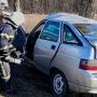 В Оратівській громаді авто врізалось в дерево: загинув 29-річний водій