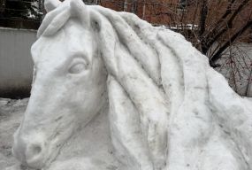 Від напису «Я люблю Вінницю» до снігового коня в Гайсині. Як боєць ЗСУ створює мистецтво