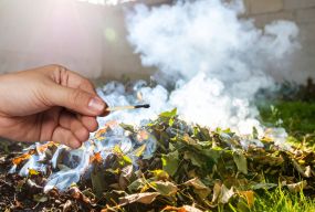 На картах NASA — десятки пожеж! На Вінниччині почався сезон паління листя. Чим це небезпечно?