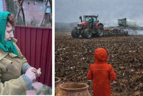 «Це недбалість або земельна афера»: як Держгеокадастр дозволив приватизувати пам’ятку Трипілля