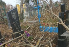 «30 років прошу зрізати старі дерева на кладовищі»: жінка викликала поліцію на цвинтар у Калинівці