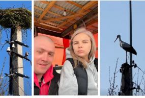 «Повертайся, друже, твоя хата готова!»: подружжя з Ямполя відновило згоріле гніздо лелек