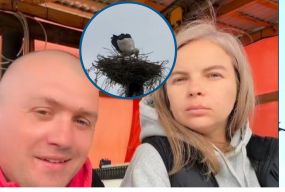 Лелека повернувся на Великдень: продовження історії, як подружжя з Ямполя відновило згоріле гніздо