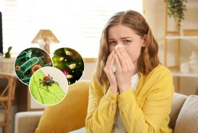 Інфекції, алергії та укуси кліщів: які небезпеки активізуються весною і як від них уберегтися