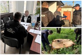 Масштабна облава в 11-ти регіонах через махінації на дровах для ЗСУ. «Нечесні закупівлі» зачепили Вінниччину