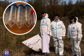 Кліщі прокинулися майже всі одночасно — у регіоні фіксують випадки хвороби Лайма