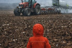 «Орали і будемо орати»: пам’ятку Трипілля знищують з дозволу суду?