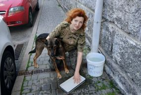 «Така спека, а вони забрали воду для тварин»: долучайтесь до флешмобу «Рятівна мисочка»