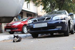 Як вирішити проблему з дефіцитом парковок у Вінниці? Ми запитали