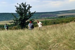 Гору Лисківка захистили у суді: аукціон скасували, дозвіл на копалини ліквідували, але…