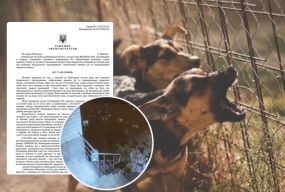 «Мене вкусила собака, а в міськраді порадили взяти її під опіку»: чому вінничанин звернувся до суду
