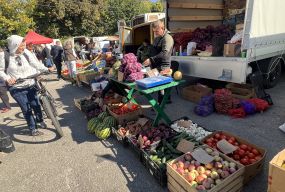 Вітаміни на зиму та крафт від виробника: що по чому продавали на дводенному ярмарку в Тяжилові