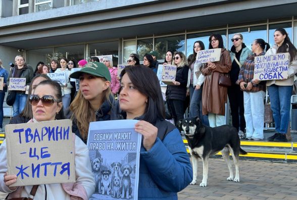 «Собак били перед смертю»: у Вінниці відбулася акція через отруєння тварин біля лікарні Пирогова