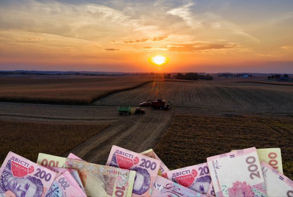 Захопили гектари — заплатили копійки. Як вінницькі суди карають за самовільне зайняття землі?