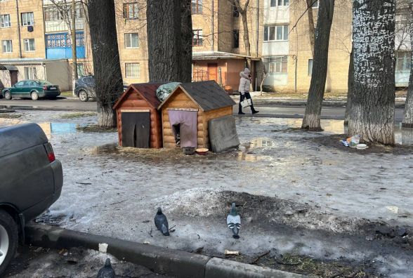 У Тяжилові встановили будки для безпритульних собак: мешканці скаржаться на укуси